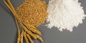 Flour