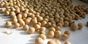 Yellow Peas