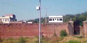 SOX Solar Street Light