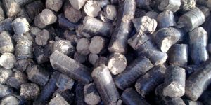 Biomass Briquette