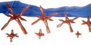 Wooden Cobra Stand (SWH NO-4)