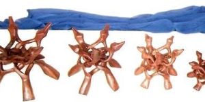 Wooden Cobra Stand (SWH NO-7)