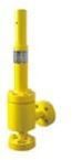 Safety Relief Valve