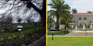 Solar LED Garden Light