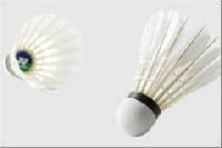 Badminton Equipment