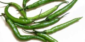 Fresh Green Chilli
