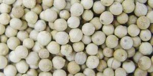 White Pepper Seeds