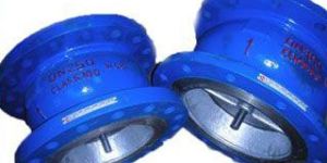 Dual Plate Check Valve