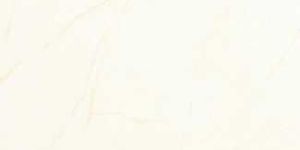 Vitro Series (395mm x 395mm) - V 106