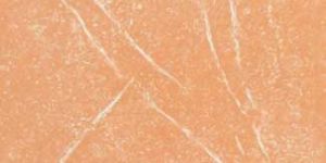 Vitro Series (395mm x 395mm) - V 107