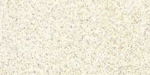 Vitro Series (395mm x 395mm) - V 119