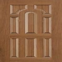 Moulded Panel Skin Doors