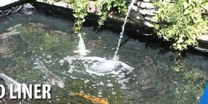 Pond Liner
