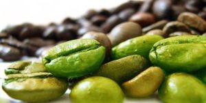 Green Coffee Bean