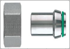 Weld Nipple Fittings