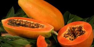 Papaya