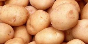 Potatoes