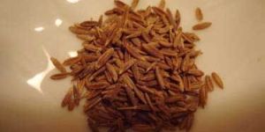 Cumin Seeds