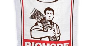 Biomore