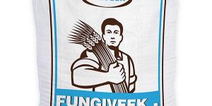 Fungiveek  - 70