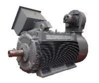 Industrial Electric Motor