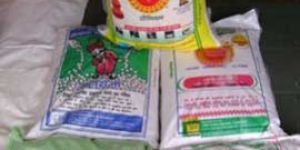 Sabudana