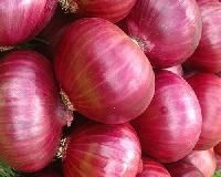 Red Nasik Onion