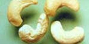 Scorched Cashew Nuts