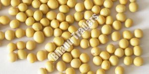 Soybean Seeds