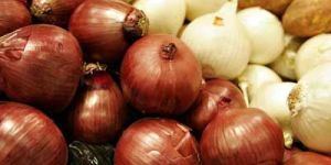 Two Colors Of Onions