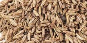 Cumin Seed Oil