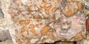 Rough Deer Skin Jasper