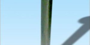 Stainless Steel Table Leg