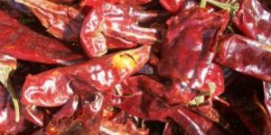 Dried Kashmiri Chilli
