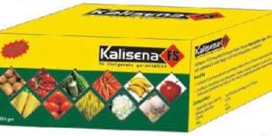 Kalisena Aspergillus Niger