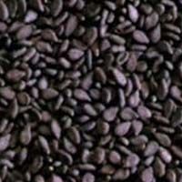 Sesame Seeds