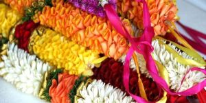 Fresh Flowers & Garlands