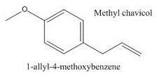 Methyl Chavicol