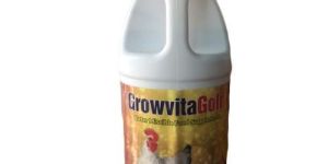 Herbal Feed Supplements