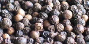 Black Pepper Seeds