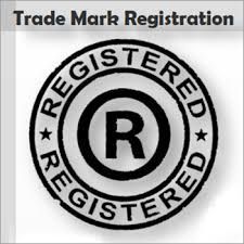 Trademark Litigation