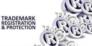 Trademark Protection