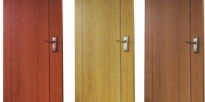 Waterproof Flush Doors