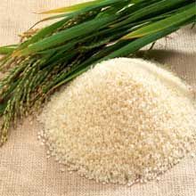 Basmati Rice