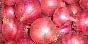 Fresh Onions