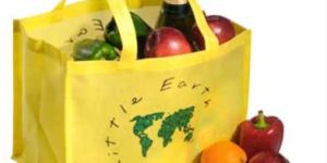 Non Woven Bag (LENW02)