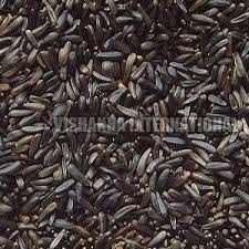 Niger Seeds