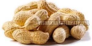 Shelled Groundnuts