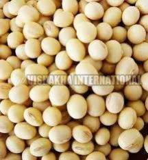 Soya Bean