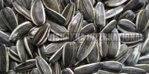 Sunflower Seeds